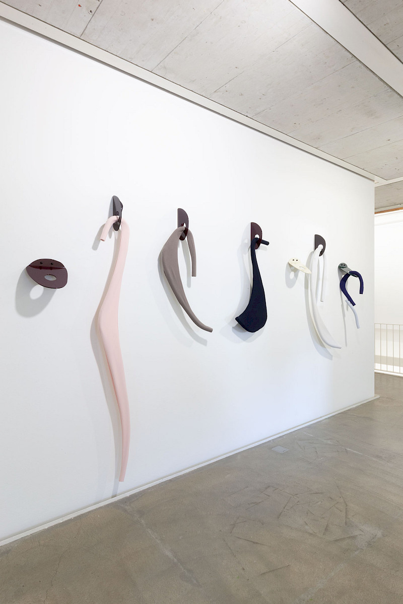 Karin Hueber, Lobe (Tongue), Kunstraum Riehen, 2018